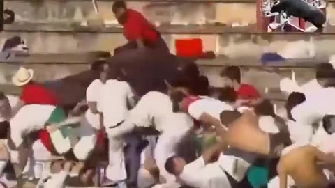 bull jump on out of stadium