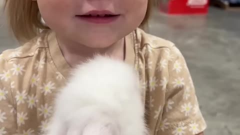 Cute Baby