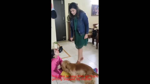 Dog tries to save little girl from getting _slapped_ by mother.