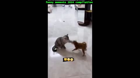 Funny moments 2024 compilation part 1