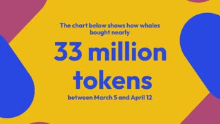 Are Crypto Whales Stocking Up on These Altcoins?