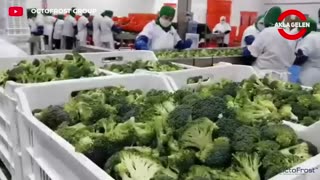 Food Production Factory Will Surprise You - Food Industry Machines With Incredible Technology