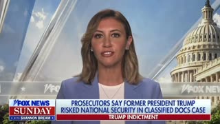 Alina Habba: President Trump Will NOT Take a Plea Deal