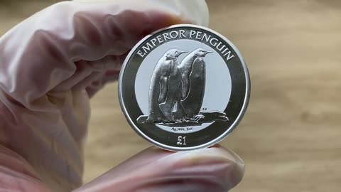EMPEROR PENGUINS - 2023 REVERSE FROSTED SILVER BULLION £1 COIN