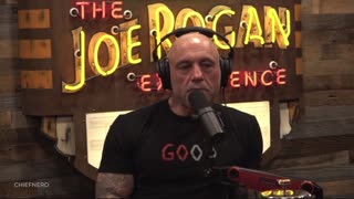 Joe Rogan Obliterates YouTube For Censoring RKF Jr.'s Videos