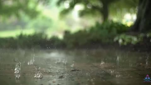 💧💧💧 4K Real Rain in Forest White Noise, Rain Sounds for Sleeping, Rain on th forest Relax