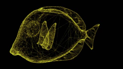 3D tropical fish model particle model.
