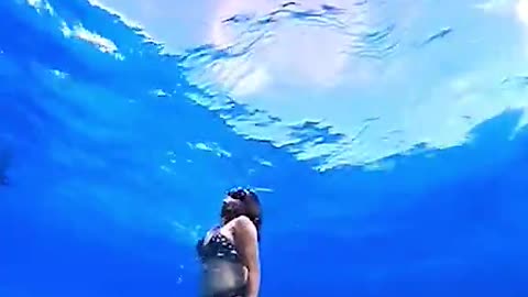 Under the sea