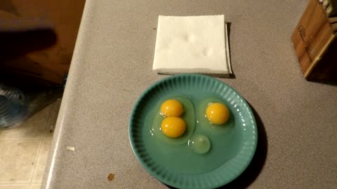 Flock it Farm: opening a double yolker, a regular egg and a pullet