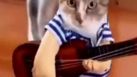 Rockstar Cat Playing Guitar Funny And Hilarious