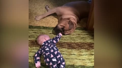 Funniest Baby Videos of the Week - Try Not To Laugh #fuuny,#fuunybaby,#baby