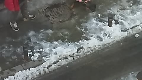 Dog doesn't move forward without eating snow