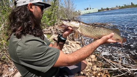 Michigan: Topwater Blowups for Smallmouth & Pike!