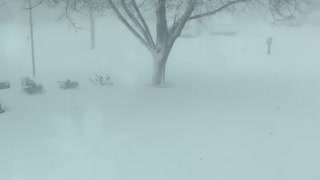 Blizzard 2023 Lockport NY