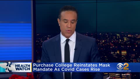 Purchase College reinstates mask mandate as COVID cases rise
