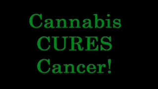 Cannabis CURES Cancer