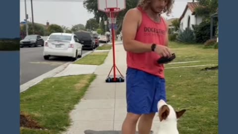 A Kid Walks By A Dog Trainer~ WAIT For It!