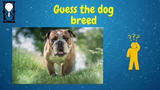 Gusse the Breeds
