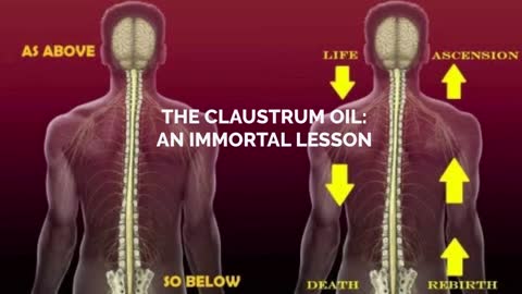 CLAUSTRUM OIL