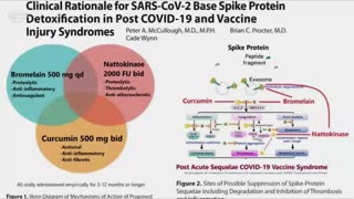 Spike Detox Goes Mainstream: First-Ever Protocol