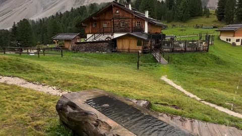 Alpine landscape, green planet