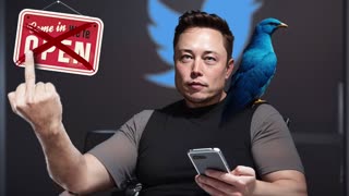 Ghost Town NYC – Has Elon Musk Just Flipped the Bird to Everyday Twitter Users?