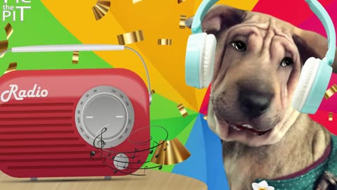 Dog Sing Emotional Mess #dogvideo #dogvideofunny #dogsingingvideo