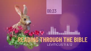 Reading Through the Bible - "Answering Bible Critics"