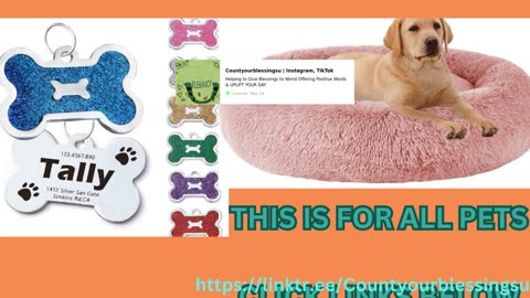 AMAZON FINDS DOG SUPPLIES PET SUPPLIES CAT SUPPLIES