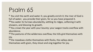 Psalm 65 Daily Devotion