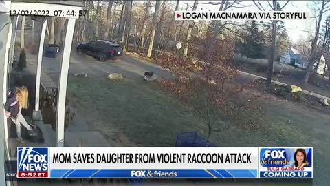 Woman who saved daughter from raccoon attack says 'motherly instincts' kicked in