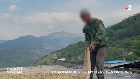 Envoyé spécial. Coronavirus ： le mystère des origines