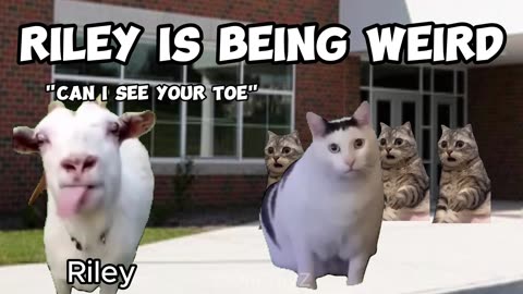 CAT MEME MOVIES INSIDE OUT 2 BUT CAT