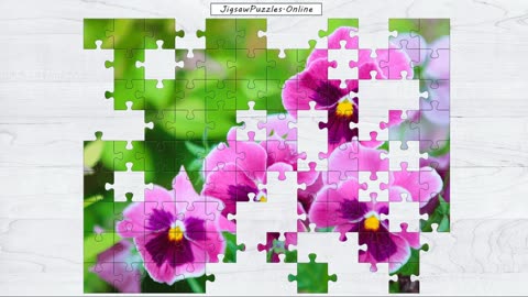 Garden Pansies Jigsaw Puzzle Online