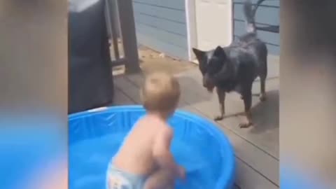 Baby and his puppy enjoy the bathing