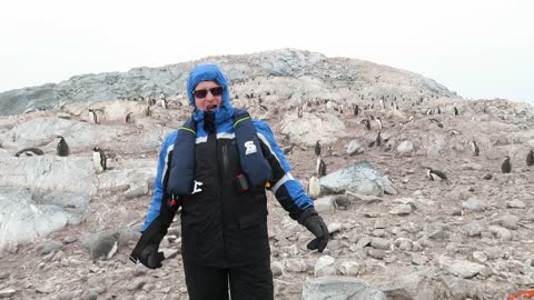 Penguins React To Opera Singer In Antarctica