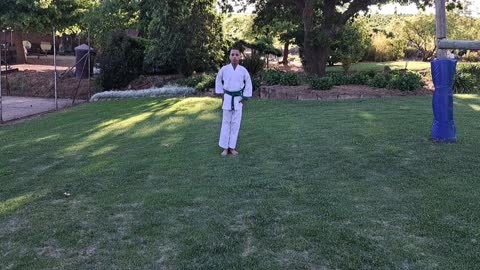 B26 - Juan Cupido - Green - Pinan Nidan