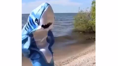 The Happy Shark