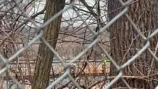 CAUGHT ON CAMERA 📷BRAND NEW TRAIN 🚂 RAIL BEING CUT IN PENNSYLVANIA