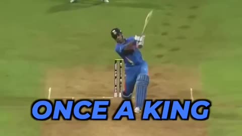 Thank you Dhoni for now and MORE 💙 A meme off from Wildlife just for DHONI
