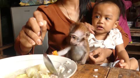 Baby Monkey Coco and Baby Johnson eat together