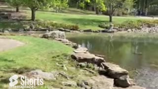 Nature and travel: Water flowing from a stream into the lake, found within a Japanese garden