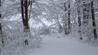 Snowfall in December 2022 Upstate New York