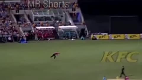 what a one hand flying catch 😱😳, new cricket tik tok short video, #Cricket King#