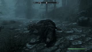 The Elder Scrolls V: Skyrim- did the dog just T-bag him?