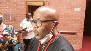 Mzwanele Manyi: Zuma case