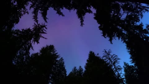 Rare Northern Lights in PNW
