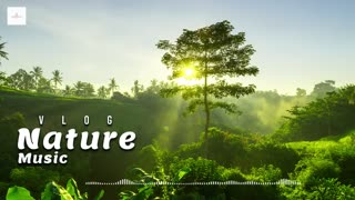 Serenade of Nature: Relaxing Wilderness Sounds