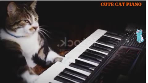 Cat Plays Piano!