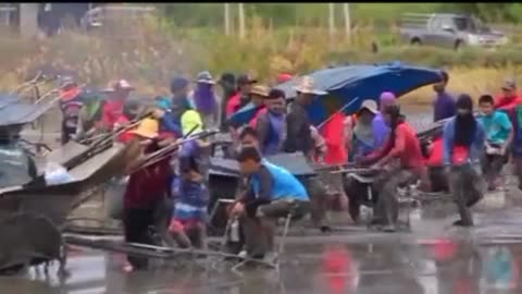 Drag Racing with Rice Tractors in Thailand🚜💨😎👍💥